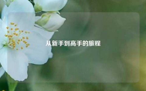 从新手到高手的旅程